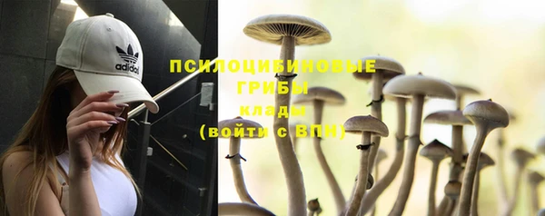 прущая мука Магадан