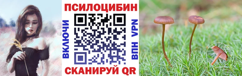 Галлюциногенные грибы Cubensis  Приволжский 